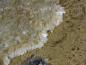 Preview: Uralolite